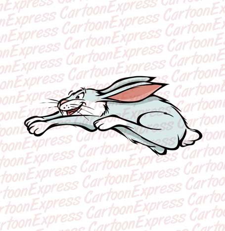 rabbit jumping
